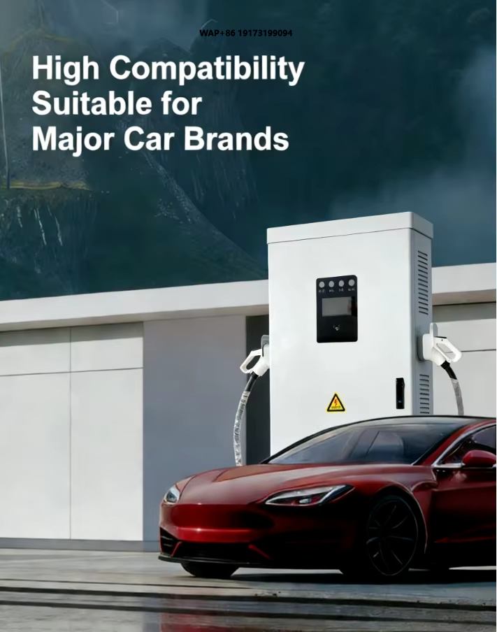 Ev Charging Pile - Yeni Enerji Aracı (NEV) Şarj İstasyonu,